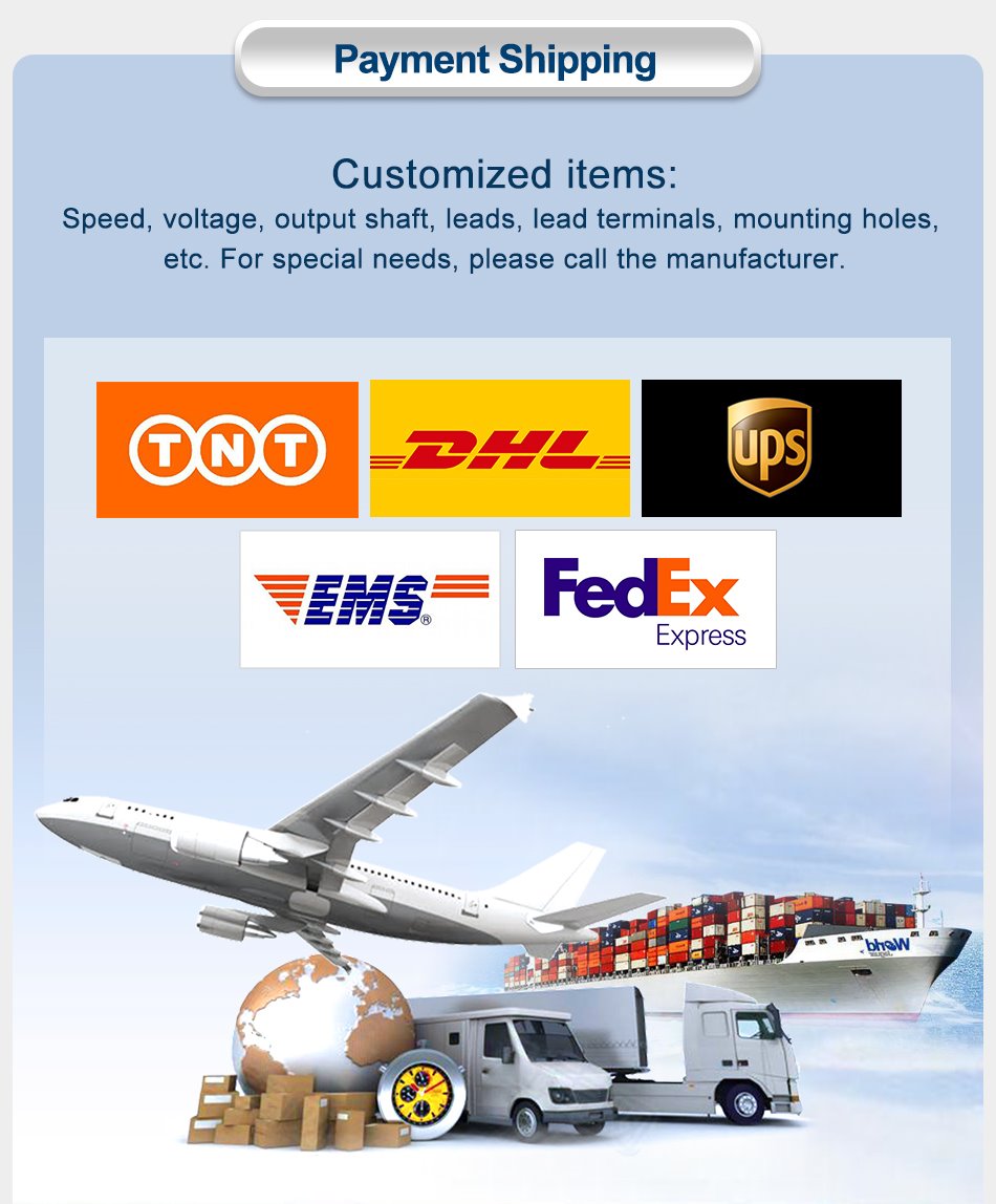 100rpm 12v dc gear motor payments 100rpm 12v dc gear motor payments